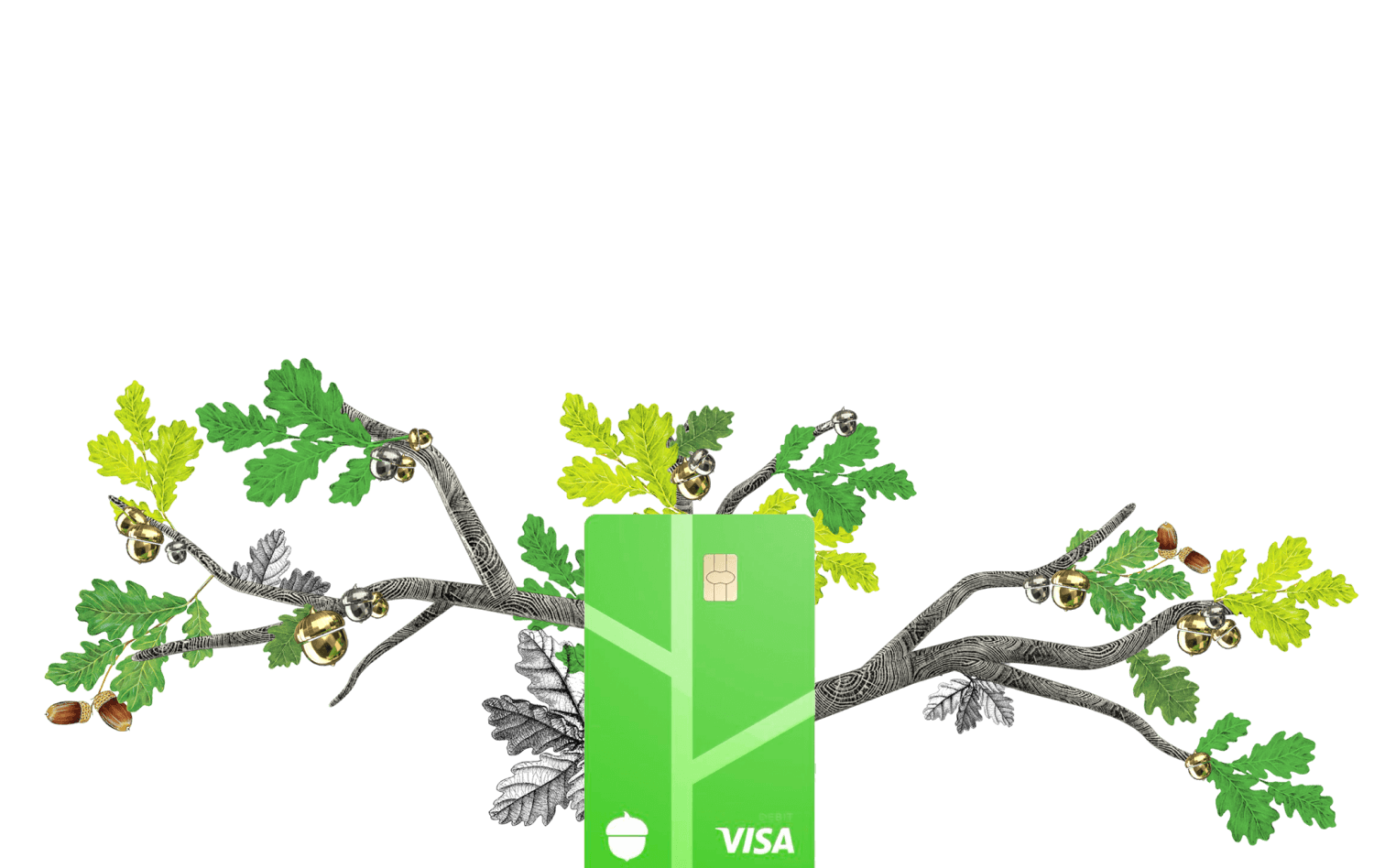Banking with Acorns