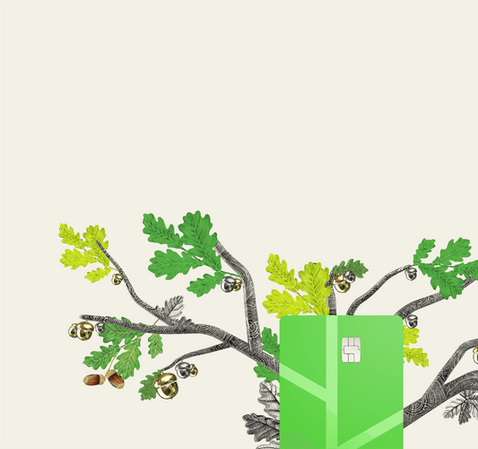 Acorns Checking